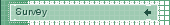 Survey